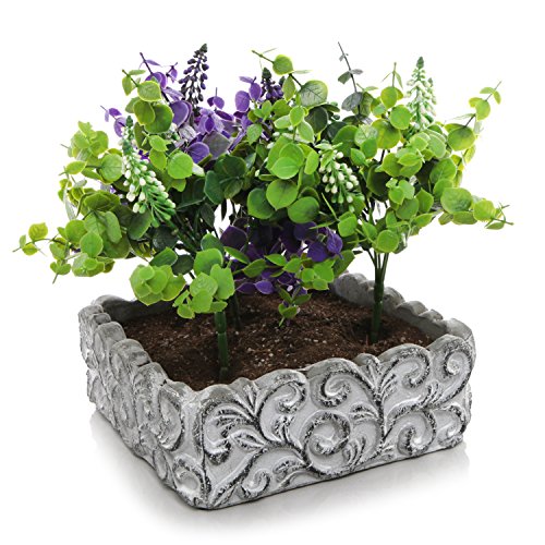 Mygift Cement Succulent Plant Pot  Small Swirl Design Kitchen Herb Box Gray
