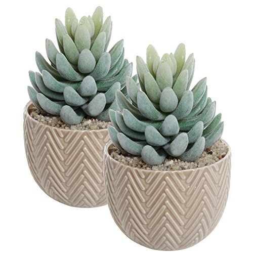 Set Of 2 Small Decorative Beige Ceramic Succulent Planter Pots / Mini Indoor & Outdoor Cactus Containers