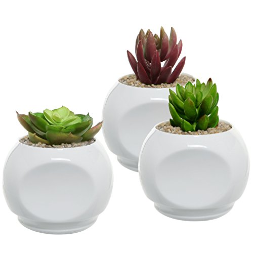 Set Of 3 Small Round Indent Design White Ceramic Succulent Plant Containers / Kitchen Herb Planter Pots