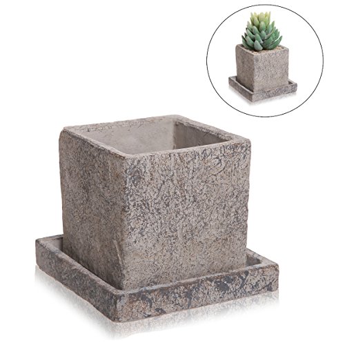 Small Decorative Gray Cement Textured Square Succulent Plant Pot With Water Draining Dish - Mygift®