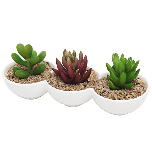 Small Modern Ceramic 3-in-One Round Succulent Plant Container Pots White
