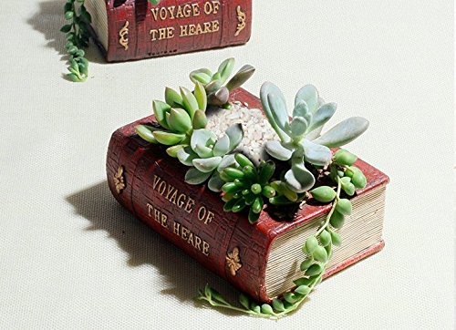 Sun-e Charming Planter Pot Book Design Succulent Planter Flower Pot / Plant Box Container(small)
