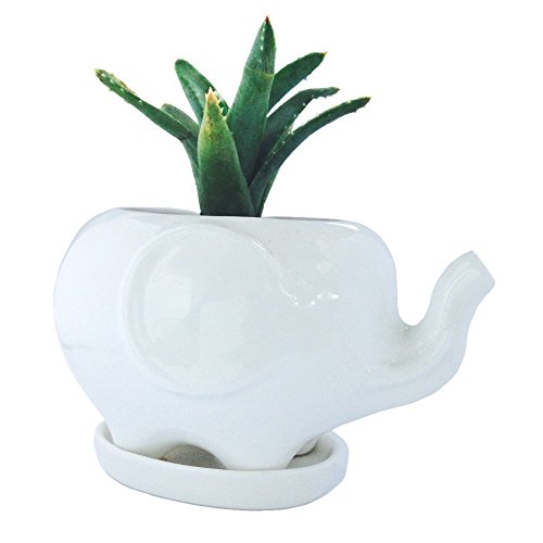 Vencer VF-002L Cute White Ceramic Elephant Pot with Saucer Tray - Ideal for Small Succulent - Home Office Decor AccentLarge