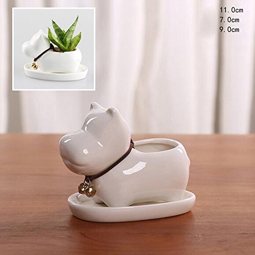 WOMHOPE Simple White Ceramic Minimalist Small Plant Pots Container Planter Collection Flowerpot with Tray with Bell for Succulent Plant Flower - 47 Inches Hippo