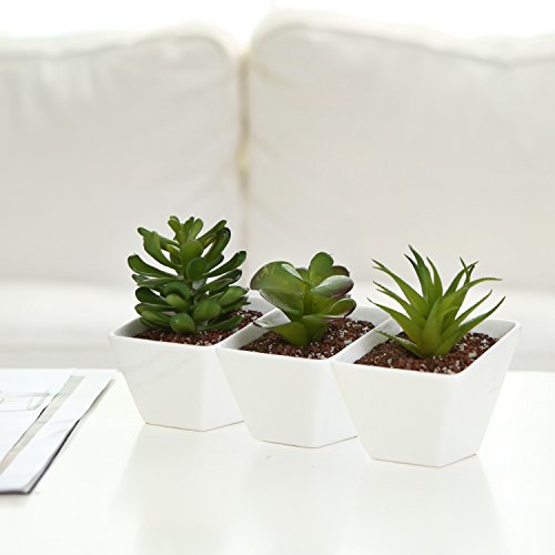 White Ceramic Angle Design Mini Succulent Planter Pots Small Plant Containers Set of 3