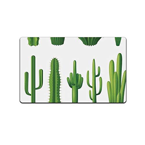 C COABALLA Cactus Decor Durable Print Floor MatPrint Cartoon Like Image Hot Mexican Desert Plant Cactus Types with Spikes Image for Living Room31 Lx19W