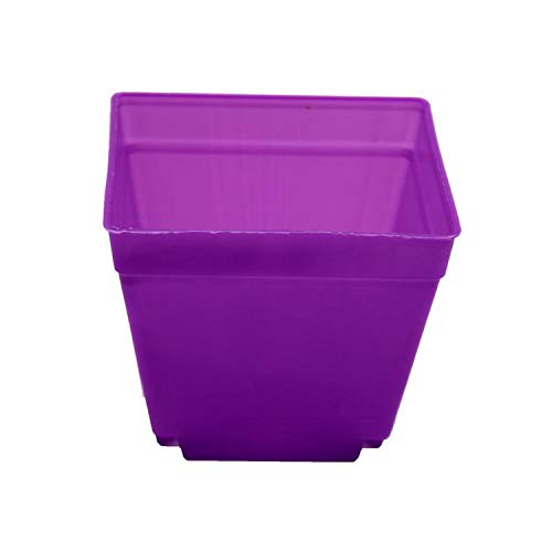 6pcs Easy Office Flower Plant Pots Potted Flowers Windowsill Green Cactus Family and Small Parts Storage Box ClassificationPurple