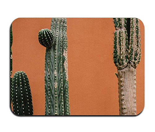 Dick Sidney Personalized Doormat Cactus Family Doormats Non-Slip Doormat Non-woven Fabric Floor Mat Indoor Entrance Rug Decor Mat