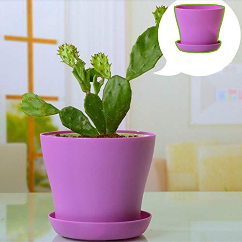 Mini Plastic Flower Pot with Saucers Succulent Planter Pot with Drainage Holes Cactus Vase Home Office Decor for Indoor Outdoor Garden Balcony hot Pink