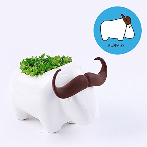 Anydo Cute Ceramic Mini Sucuulent Plant Pot Cactus Flowerpot Planter