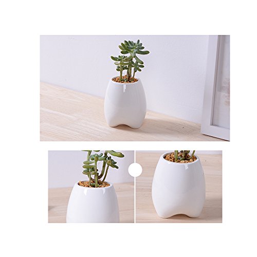 Succulent Planters Y&MTMElegance Ceramic Flower Pots Indoorcactus flower pot for SucculentCactusDecorative Flower