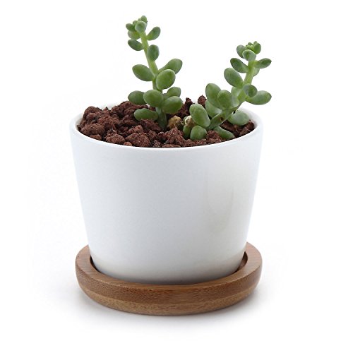 T4u 25 Inch Ceramic White Round Simple Design Sucuulent Plant Potcactus Plant Pot Flower Pot With Bamboo Tray