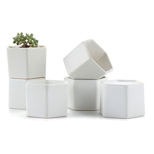 T4u 275 Inch Ceramic White Hexagon Set Sucuulent Plant Potcactus Plant Pot Flower Potcontainerplanter Package