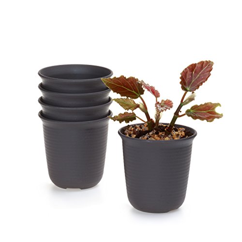 T4u 35 Inch Plastic Round Sucuulent Plant Potcactus Plant Pot Flower Potcontainerplanter Dark Brown Package