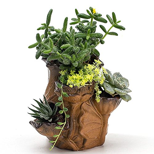 Ceramic Lotus Bottle Cacti Succulent Plant Pot Flower Planter Mini Garden Design