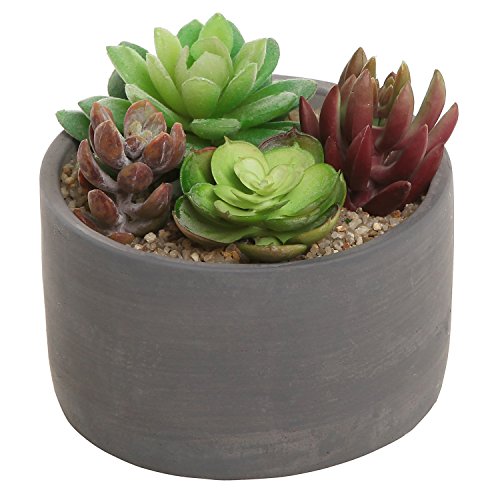 Small Modern Round Indoor Gray Cement Flower Planter Pot  Outdoor Succulent Cactus Plant Container