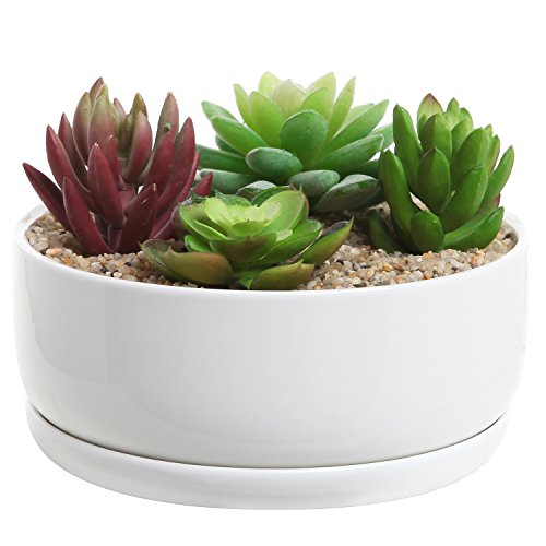 6 inch Modern White Ceramic Round Designer Succulent Planter  Cactus Pot  Decorative Flower Holder Bowl