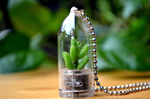 Coral Cactus Plant Necklace Cactus Terrarium Gift