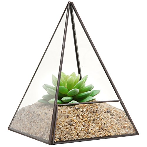 Modern Glass Pyramid Tabletop Succulent Plant Terrarium Box  Air Plant Cacti Holder Case - MyGiftÂ