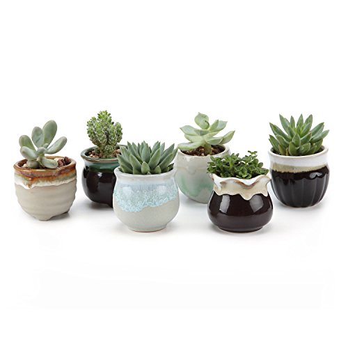 T4U 25 Inch Ceramic Flowing glaze Black&White Base Serial Set Sucuulent Plant PotCactus Plant Pot Flower PotContainerPlanter Package 1 Pack of 6