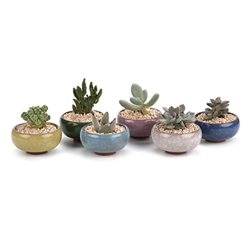 T4U 25 Inch Ceramic Ice Crack Zisha Serial succulent Plant PotCactus Plant Pot Flower PotContainerPlanter Full colors Package 1 Pack of 6