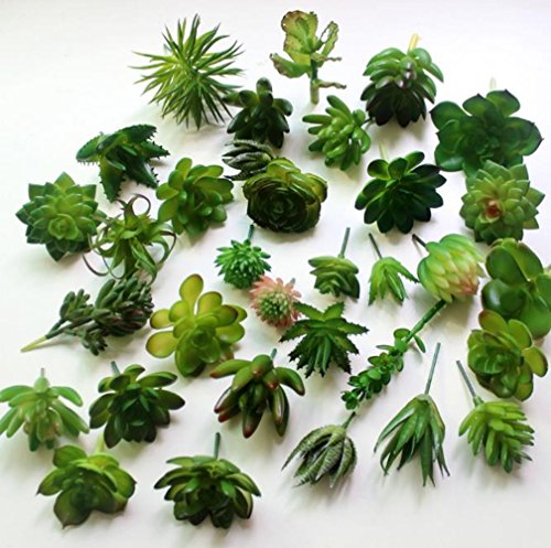 Dutch Brook 5Pcs Different Succulents Artificial Cactus Plants for Office Home Garden Decor Sent Randomly