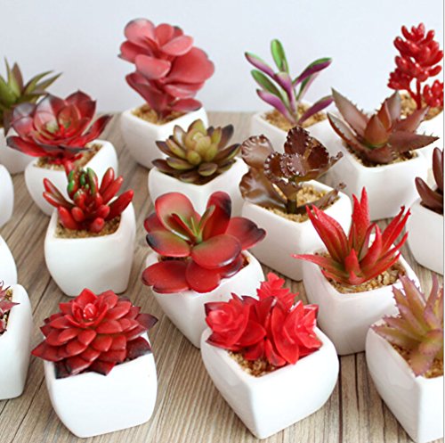 Dutch Brook Mini Potted Simulation Red Succulents Artificial Cactus Plants for Home Office Garden Decor Sent Randomly