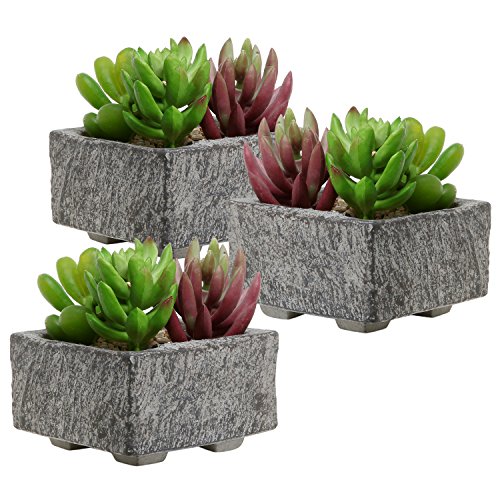 Set Of 3 Decorative Mini Gray Cement Square Succulent Plant Boxes  Cactus Planter Containers - Mygift&reg