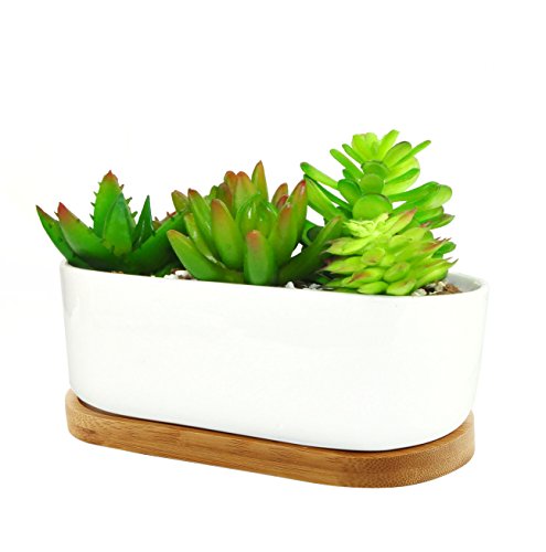 67 Inch Ceramic White Modern Oval Design Succulent Plant PotCactus Plant Pot With Bamboo Tray