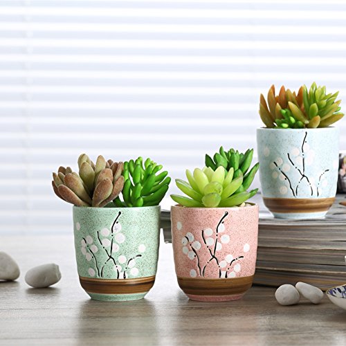 Netral 35 Inch Ceramic Sucuulent Plant PotCactus Plant Pot Flower Pot Ceramics Flower Pot for Home Office Desk Garden DecorationSet of 3 3 Round