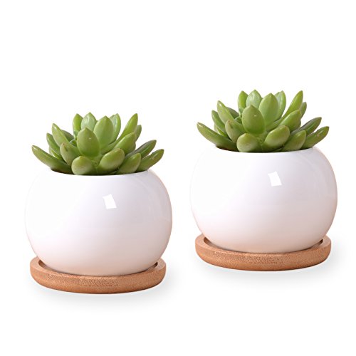 ROSE CREATE 2 Pcs 35 Inches White Oval Pots Cactus Plant Pots With Bamboo Trays - Pack of 2 Oval