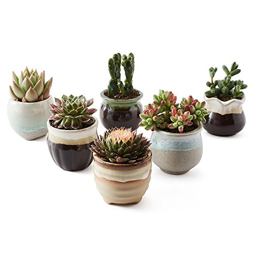 SUN-E 6 in Set 25 Inch Ceramic Flowing Glaze Black&White Base Serial Set Succulent Plant Pot Cactus Plant Pot Flower Pot Container Planter