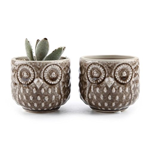 T4U 275 Inch Ceramic Owl Pattern succulent Plant PotCactus Plant Pot Flower PotContainerPlanter Brown Package 1 Pack of 2