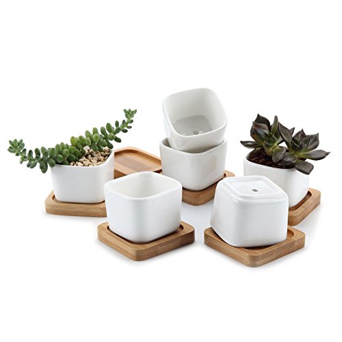 T4U 2 Inch Ceramic White Mini Square succulent Plant PotCactus Plant Pot With Bamboo Tray Package 1 Pack of 6