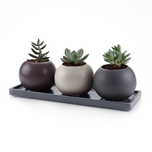 T4U 3 Inch Ceramic Cameo Double Layer Howllow Design succulent Plant PotCactus Plant Pot With Saucer Full colors Package 1 Pack of 3