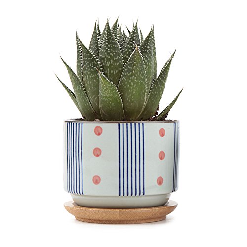 T4U 3 Inch Ceramic japanese Style Serial No5 succulent Plant PotCactus Plant Pot Flower PotContainerPlanter White