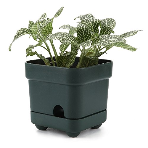 T4U 45 Inch Plastic Self Watering Square succulent Plant PotCactus Plant Pot Flower PotContainerPlanter Small Size Dark green