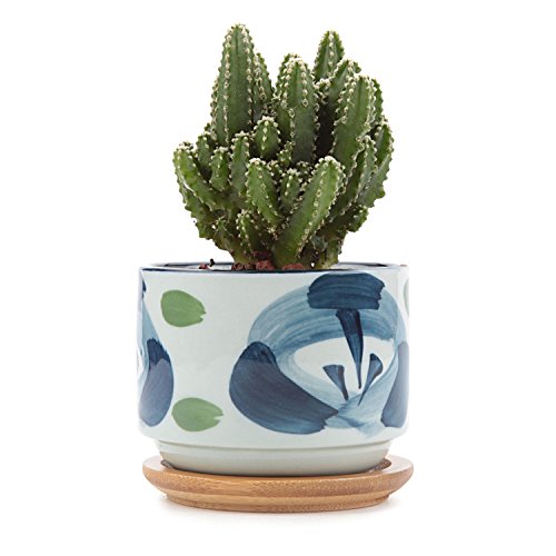 T4u 3 Inch Ceramic Japanese Style Serial No7 Sucuulent Plant Potcactus Plant Pot Flower Potcontainerplanter