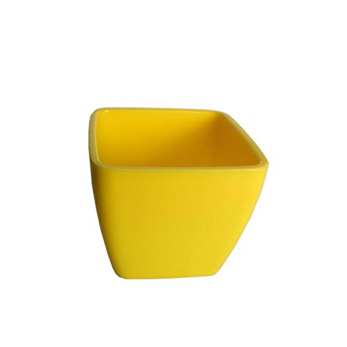 T4u 3 Inch Plastic Square Sucuulent Plant Potcactus Plant Pot Flower Potcontainerplanter Small Size Yellow