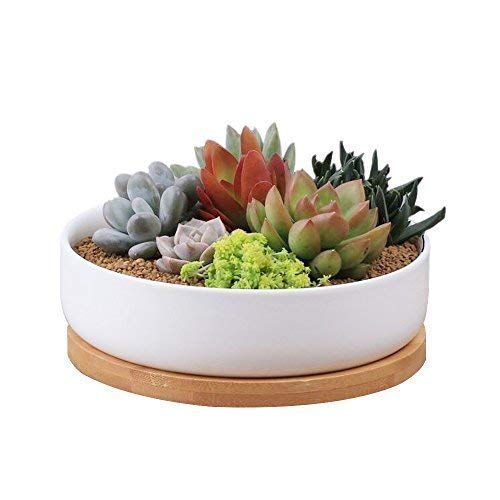 6 Inch Modern White Ceramic Round Succulent Cactus Planter Pot with Drainage Bamboo TrayDecorative Garden Flower Holder Bowl