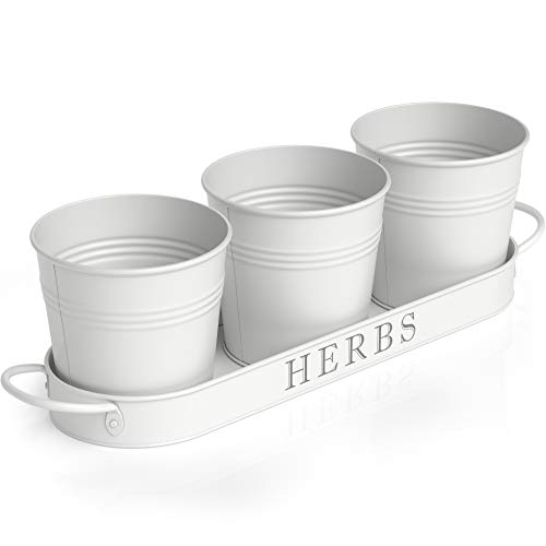 Barnyard Designs Herb Pot Planter Set with Tray for Indoor Garden or Outdoor Use Decorative White Metal Succulent Potted Planters for Kitchen Windowsill Set of 3 425 x 4 Planters on 125 x 4