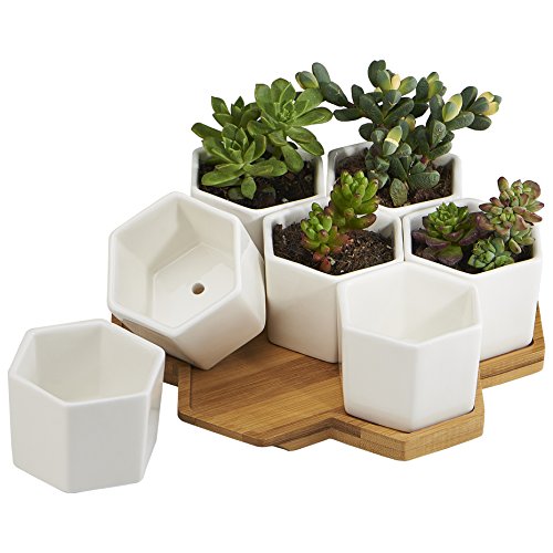 FLOWERPLUS Planter Pots Indoor 7 Pack 275 Inch Modern White Ceramic Small Hex Succulent Cactus Flower Plant Pot with Bamboo Tray for Indoors Outdoor Office Home Garden Kitchen Decor Hexagon