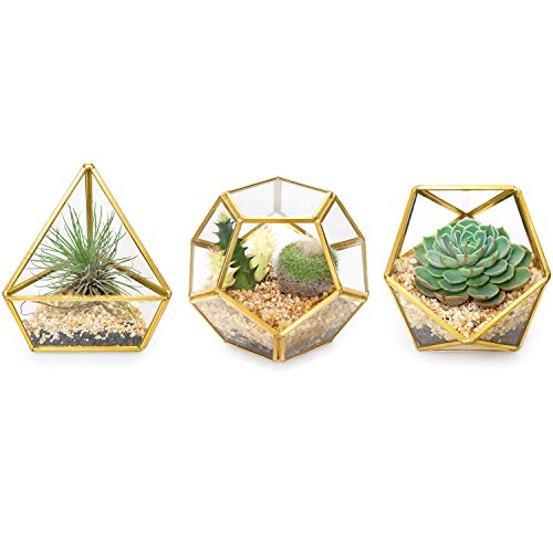 Mkono 4 Inch Mini Glass Geometric Terrarium Container Set of 3 Modern Tabletop Planter Windowsill Decor Shelves DIY Display Box Centerpiece Gift for Succulent Air Plant Miniature Fairy Garden Gold