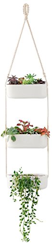 Mkono Ceramic Hanging Planter 3 Tier Indoor Wall Plant Holder for Succulent Herb Air Plant Live or Faux Plants Modern Vertical Garden Rectangular