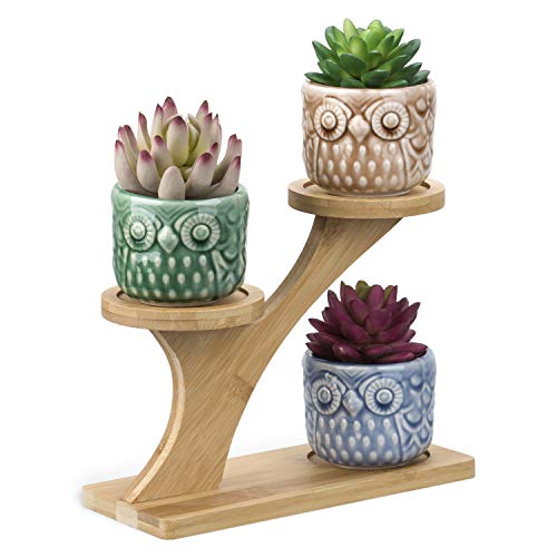 OUSHINAN Mini White Ceramic Owl Garden Pots Decorative Nursery Succulent Planters with 3- Tier Bamboo Tray for Room Decor 3 Owl Pots in 1 Treetop Bamboo Stands