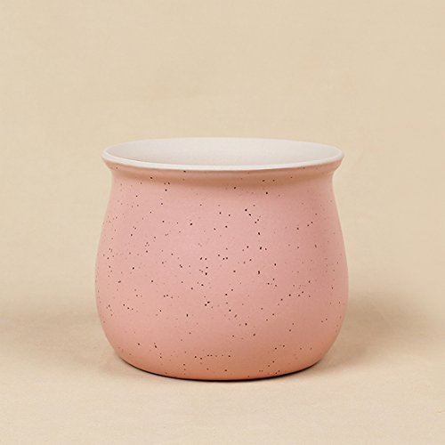 Hineway Flower Pots Succulent Plant Mini Nursery Pots Garden Supplies Pink