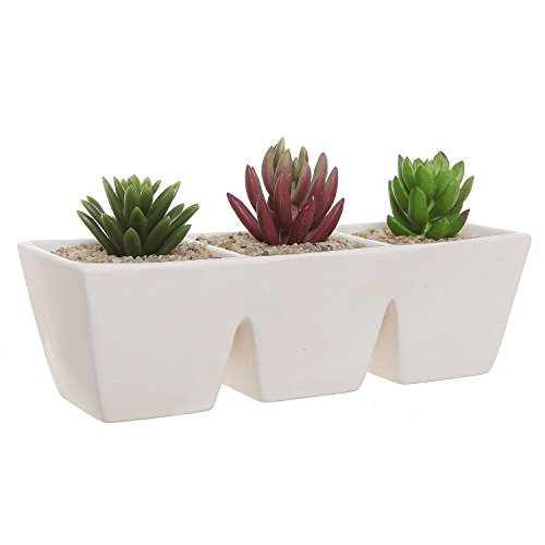 Off-white Unglazed Ceramic Rectangular 3 Section Succulent Plant Pot  Herb Garden Planter - Mygift&reg