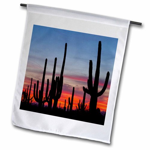 3dRose Sonoran Desert Saguaro National Park Arizona USA US03 BJY0007 Jaynes Gallery Garden Flag 12 by 18