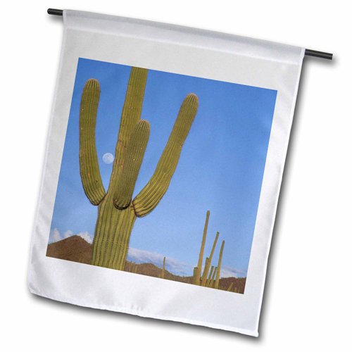 3drose Fl_87948_2 Giant Saguaro Cactus Succulent Arizona Us03 Jme0051 Garden Flag 18 By 27&quot