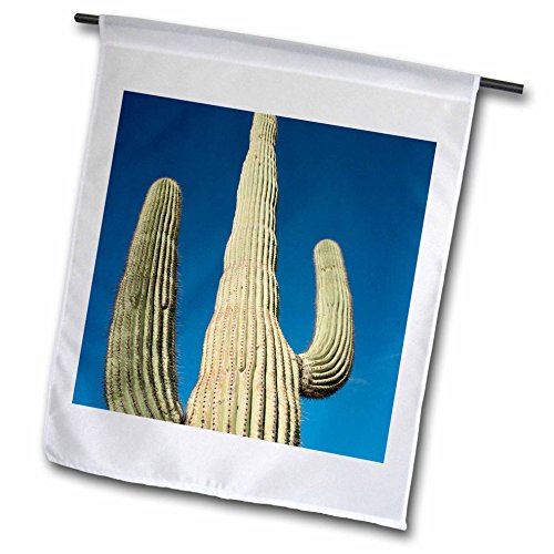 Danita Delimont - Cactus - USA Arizona Sonoran Desert Saguaro NP Giant Saguaro cactus - 18 x 27 inch Garden Flag fl_207663_2